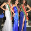 reina-carnaval-la-paz-2015-tamara-carinao