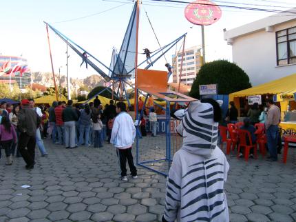 Zebra mirando al Euro Bungy