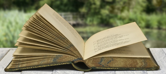 libro