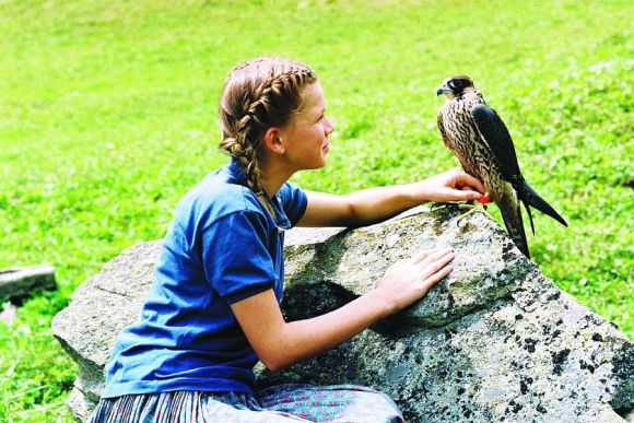 El verano del halcon