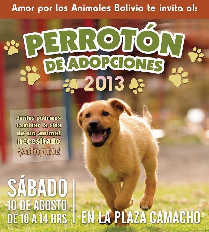 perroton-2013
