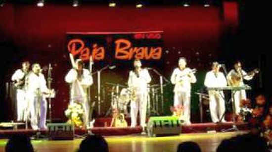 paja-brava