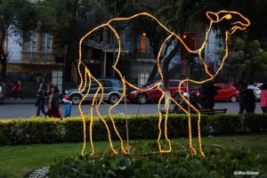 Camello luminoso en el Prado